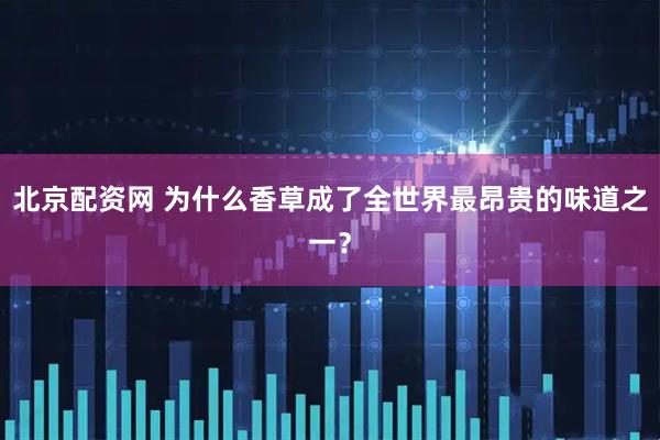 北京配资网 为什么香草成了全世界最昂贵的味道之一？