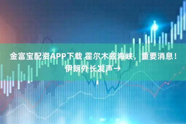 金富宝配资APP下载 霍尔木兹海峡，重要消息！伊朗外长发声→
